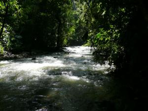 Río Dulce og Tikal